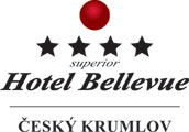 Hotel Bellevue’s New Website